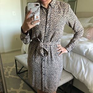 Ann Taylor Leopard Shirtdress